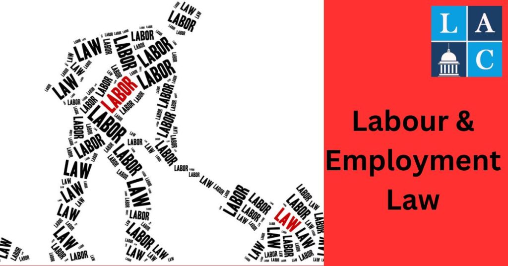 Labour & Employment Law